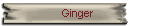   Ginger